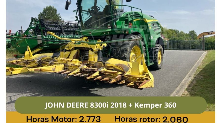 WhatsApp Image 2025-01-24 at 11.10.24 (1)